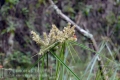 2018_kilimanjaro_2_234