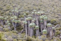 2018_kilimanjaro_3_247