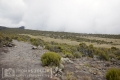 2018_kilimanjaro_4_116
