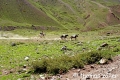 aconcagua2016_4_156