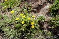 aconcagua2016_4_191