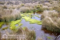 2018_kilimanjaro_5_154