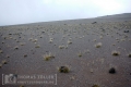 2018_kilimanjaro_5_170