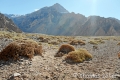 aconcagua2016_5_142