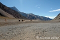 aconcagua2016_5_174