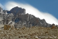 aconcagua2016_5_195