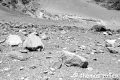 aconcagua2016_5_235