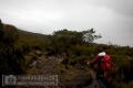 2018_kilimanjaro_6_100