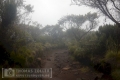 2018_kilimanjaro_6_119