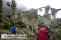 20180711rwenzori_352