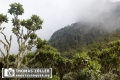 20180711rwenzori_375