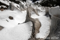 aconcagua2016_11_166