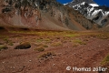 aconcagua2016_11_191