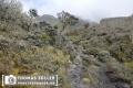 20180712rwenzori_226