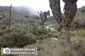 20180712rwenzori_240