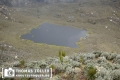 20180712rwenzori_300