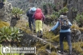 20180713rwenzori_197