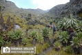 20180713rwenzori_201