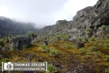 20180713rwenzori_214