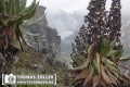 20180713rwenzori_245