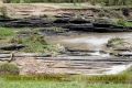 2017masai-mara-1_629