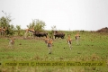 2017masai-mara-1_635