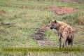 2017masai-mara-1_648