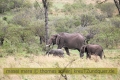 2017masai-mara-1_652