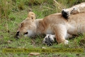 2017masai-mara-1_653