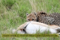 2017masai-mara-1_668