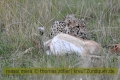 2017masai-mara-1_674