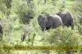 2017masai-mara-1_679