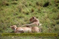 2017masai-mara-1_680