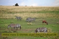 2017masai-mara-1_683