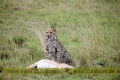 2017masai-mara-1_688