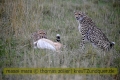 2017masai-mara-1_691