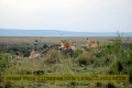 2017masai-mara-1_695