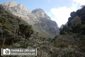 20180714rwenzori_216