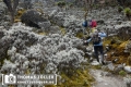 20180714rwenzori_253