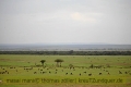 2017masai-mara-2_681