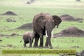 2017masai-mara-3_648