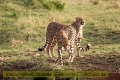 2017masai-mara-3_664