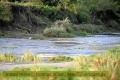 2017masai-mara-3_675