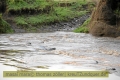 2017masai-mara-3_676