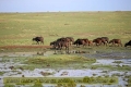 2017masai-mara-3_688