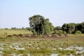 2017masai-mara-3_691