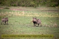 2017masai-mara-3_693