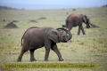 2017masai-mara-3_700