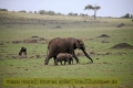 2017masai-mara-3_704