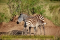 2017masai-mara-3_718